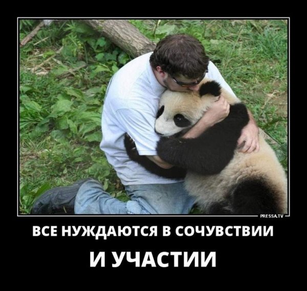 Друг в беде не бросит лишнего не спросит