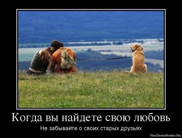 Демотиваторы про друзей смешные