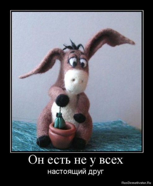 Приколы про дружбу