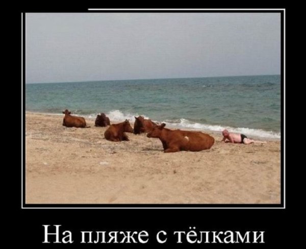Фотоприколы и демотиваторы
