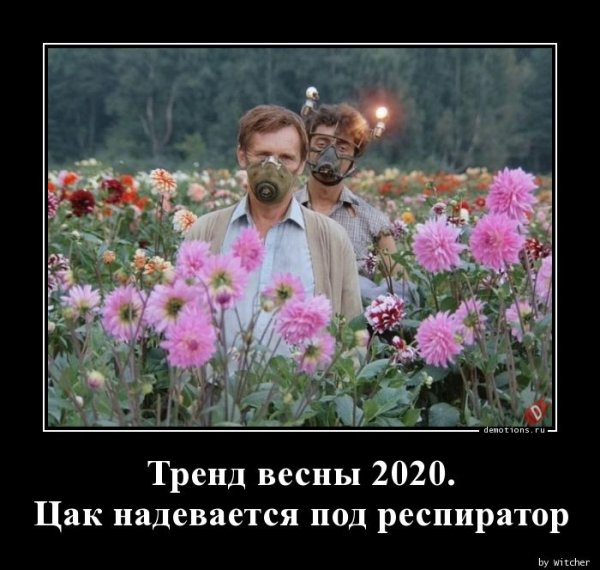 Демотиваторы 2020