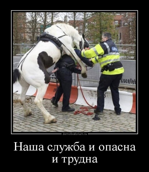 Наша служба и опасна и трудна