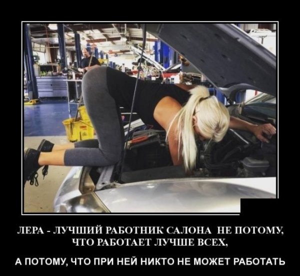 Демотиваторы Триникси
