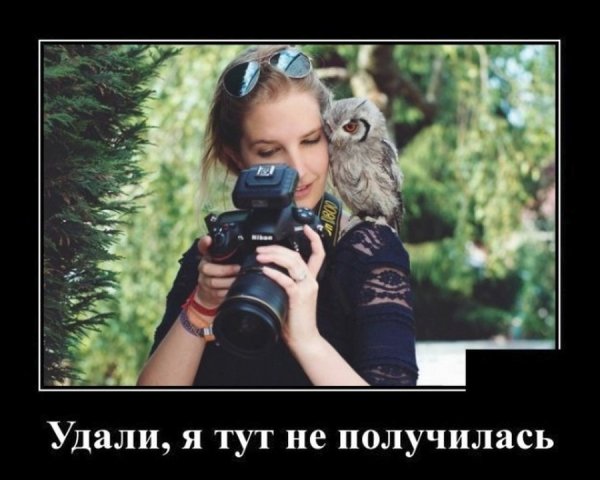 Демотиваторы 2019 года