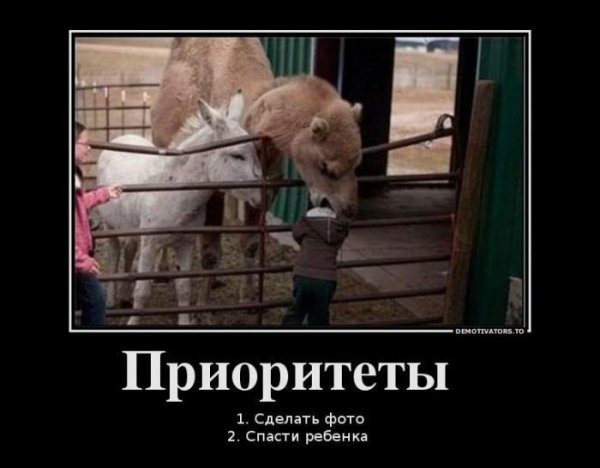 Демотиваторы о приоритете