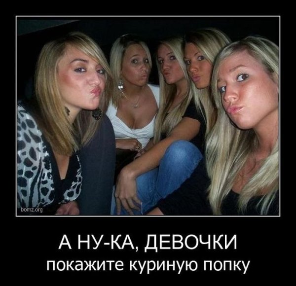 Приколы про гламурных девушек