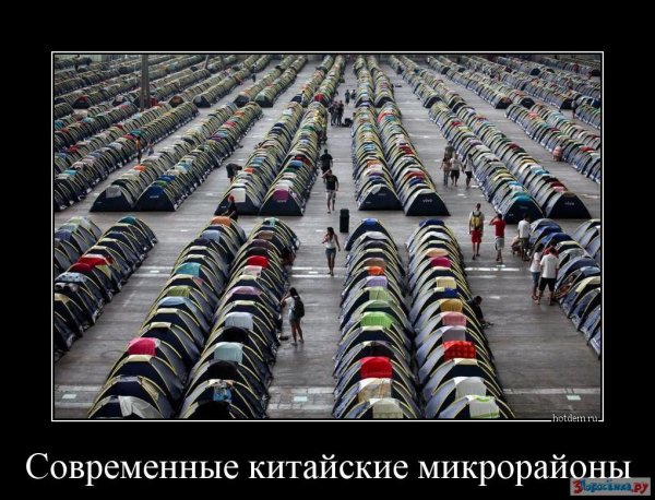 Социальные демотиваторы
