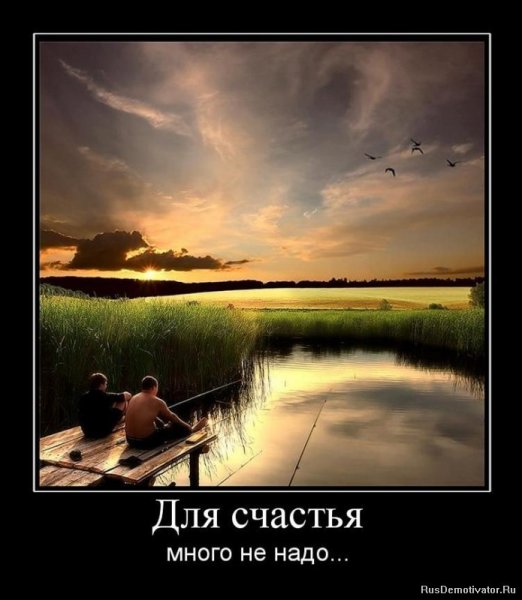 Интересные картинки про жизнь