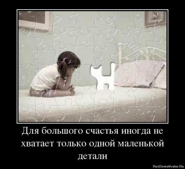 Иногда для большого счастья не хватает одной маленькой детали