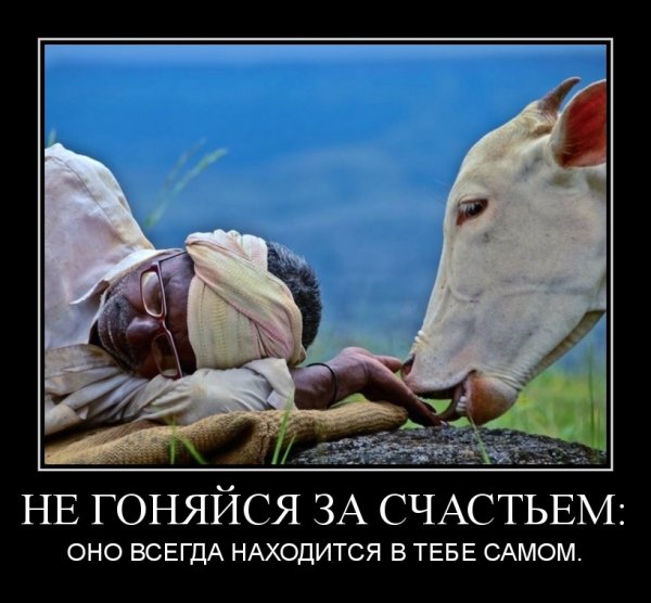 Не гоняйся за счастьем оно всегда находится в тебе