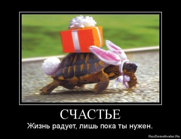 Счастье есть демотиватор