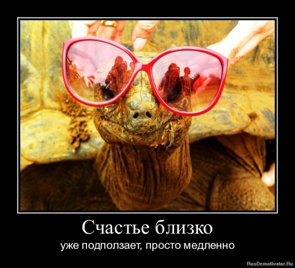 Демотиваторы про счастье смешные