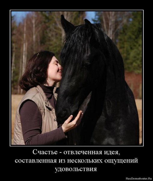 Демотиваторы лошадка