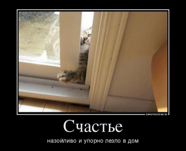 Счастье упорно лезло в дом