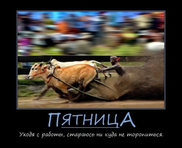 Пятница приколы