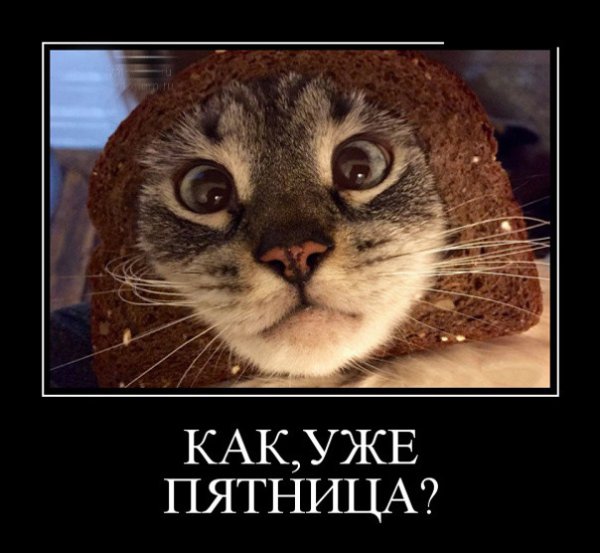 Пятница приколы