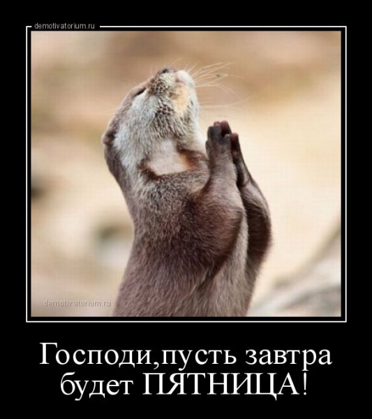 Пятничные демотиваторы
