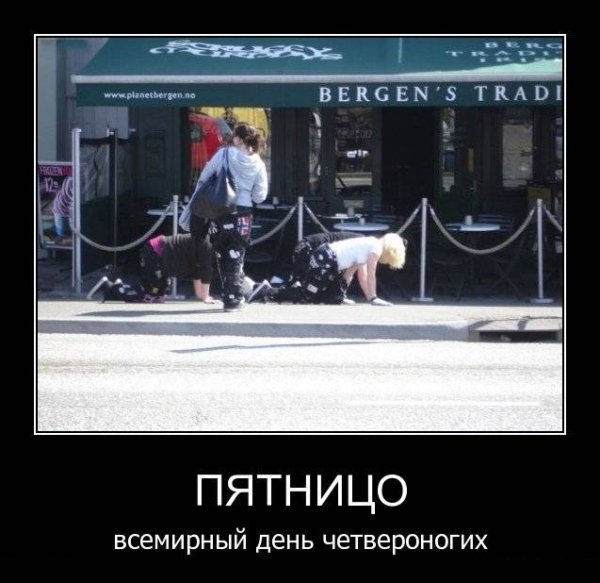 Демотиватор пятница вечер