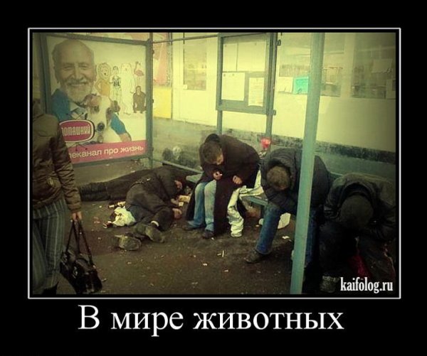 Русский мир карикатуры