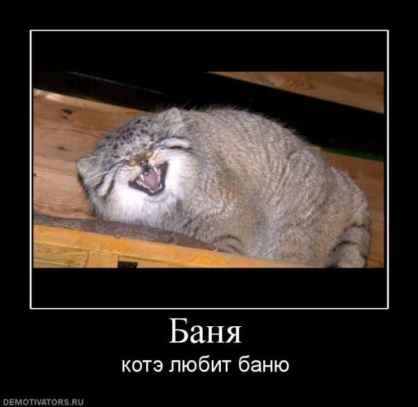Сауна прикол