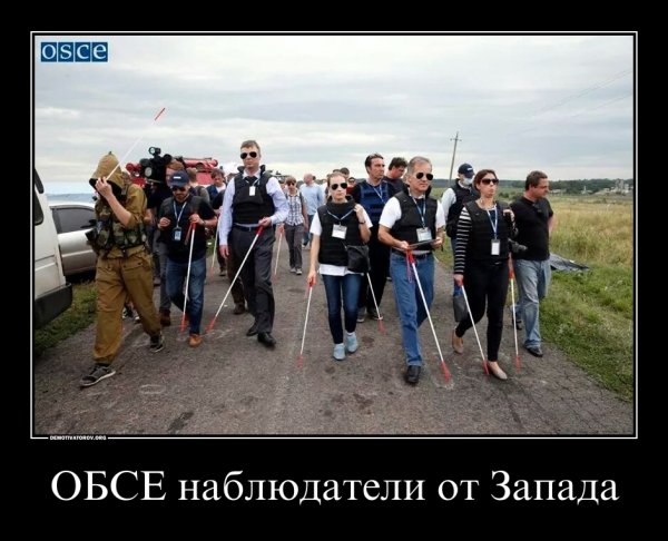 ОБСЕ карикатура