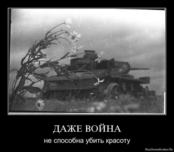 Демотиваторы про войну