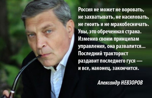 Александр Невзоров высказывания