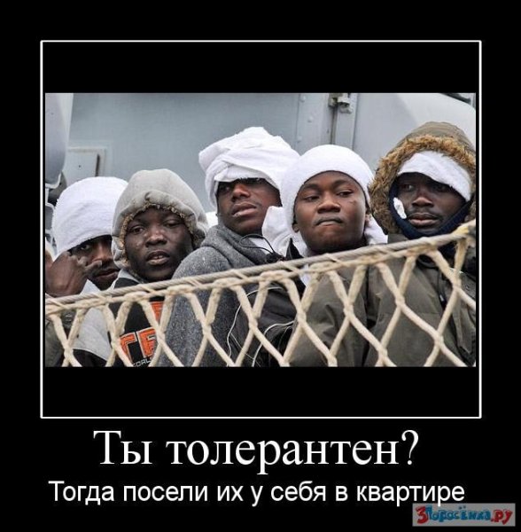 Толерантность демотиваторы