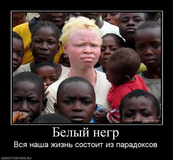 Здесь был Вася