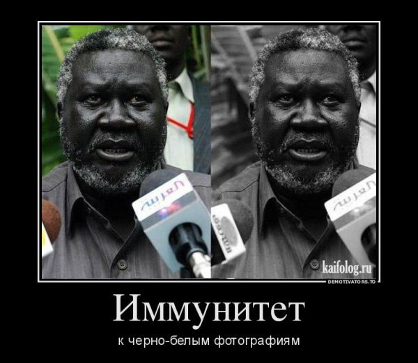 Чёрный юмор шутки