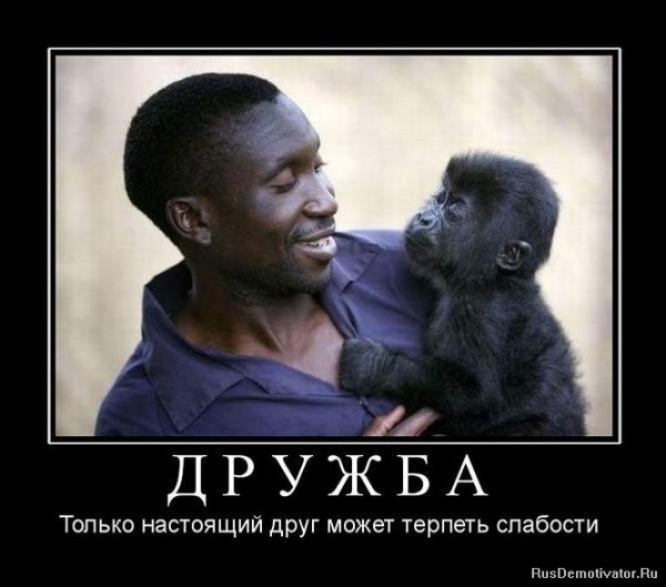 Настоящий друг демотиватор