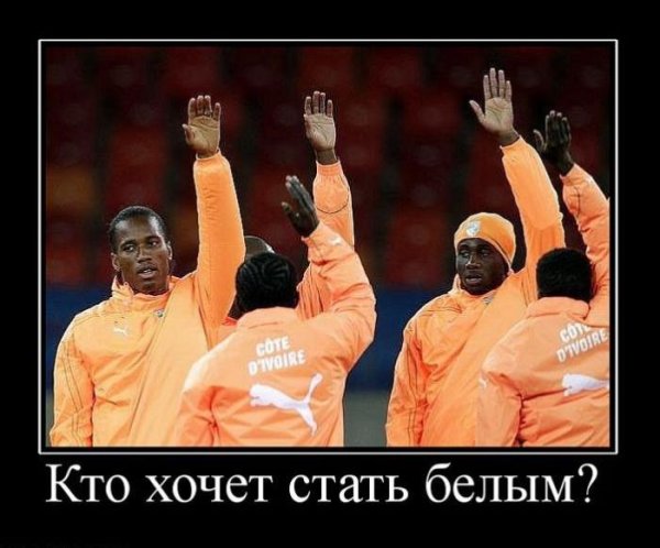 Негры расизм демотиваторы