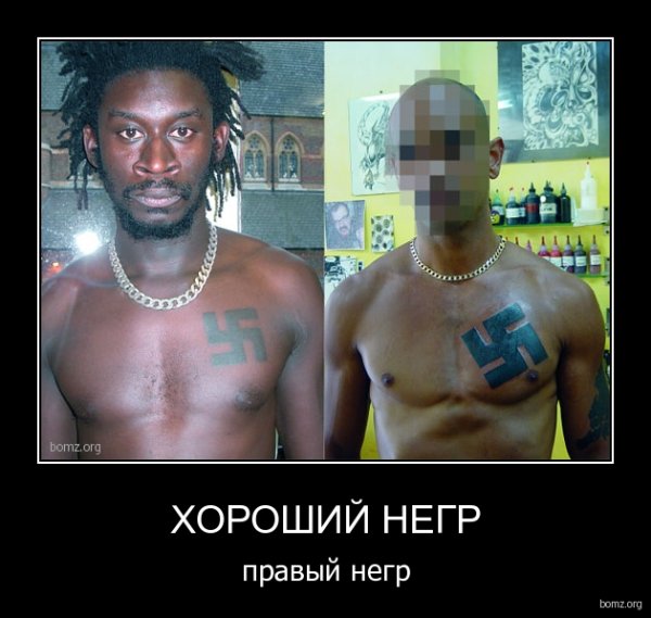 Демотиваторы про толерантность к неграм
