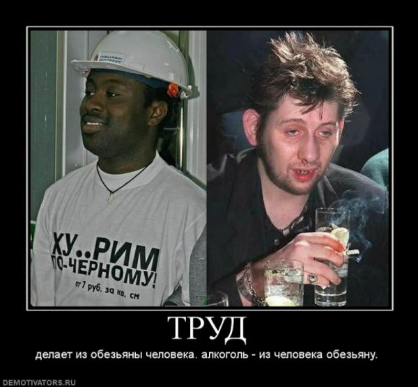 Юмор демотиваторы про негров