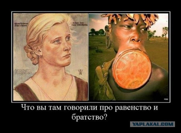 Расизм демотиваторы