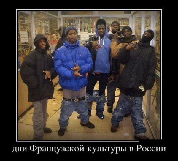 Демотиваторы про бандитов