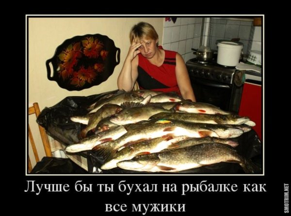 Лучше бы ты бухал на рыбалке