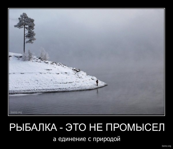 Афоризмы про рыбалку