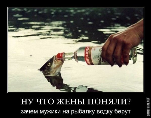 Рыбалка и водка прикол