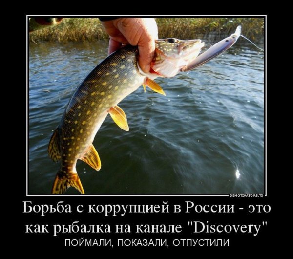 Рыбалка юмор