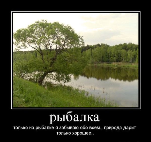 Афоризмы про рыбалку
