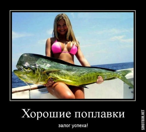 Шутки про рыбу