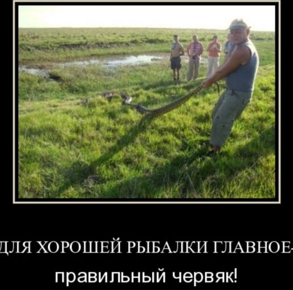 Демотиваторы про рыбалку смешные