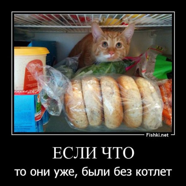 Фишки нет приколы