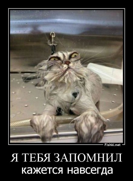 Я тебя запомнил демотиватор