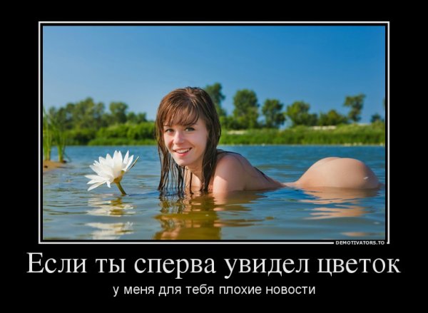 Фишки демотиваторы