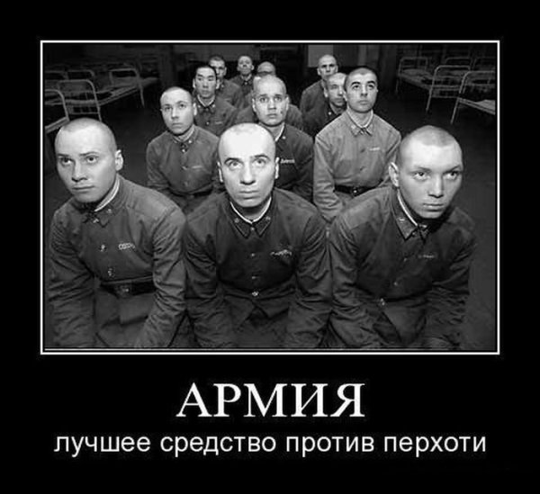 Вова Вист герой Украины