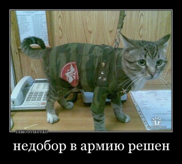 Демотиваторы про армию