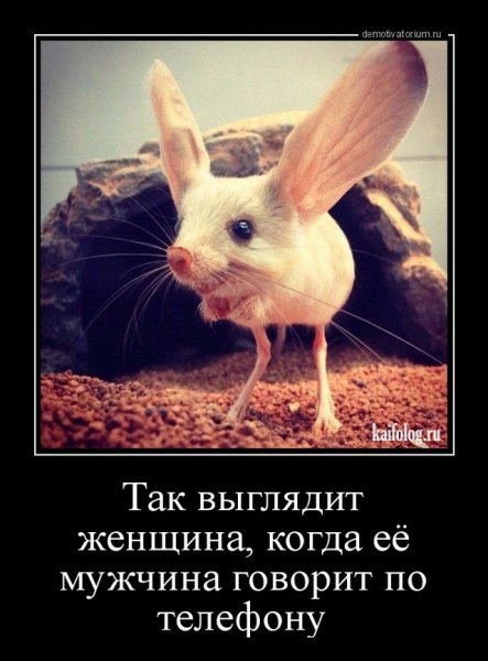 Весёлые надписи для поднятия настроения