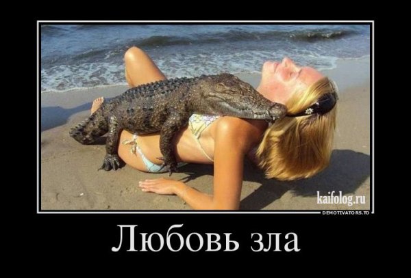 Прикольные демотиваторы для поднятия настроения